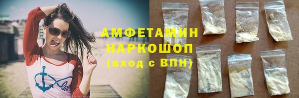 молекула духа Арсеньев