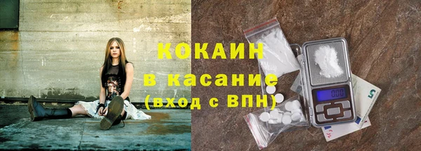 молекула духа Арсеньев