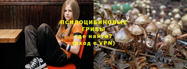 молекула духа Арсеньев