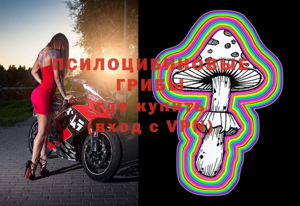 молекула духа Арсеньев