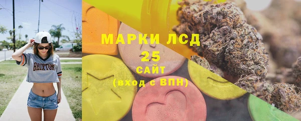 молекула духа Арсеньев