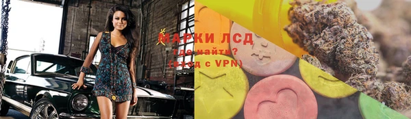 молекула духа Арсеньев