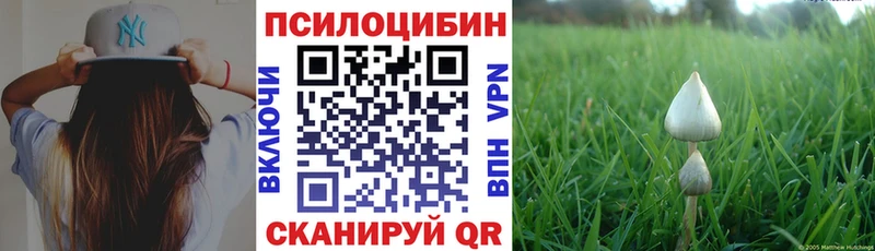 купить  сайты  Узловая  omg как зайти  Галлюциногенные грибы мицелий 